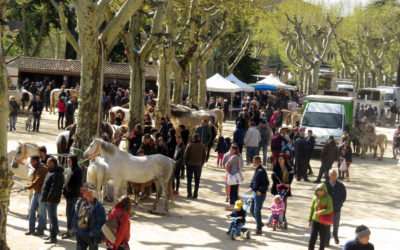 Foire aux chevaux – Familiale et solidaire