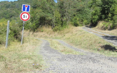 Rénovation d’une partie de la route communale desservant La Tine