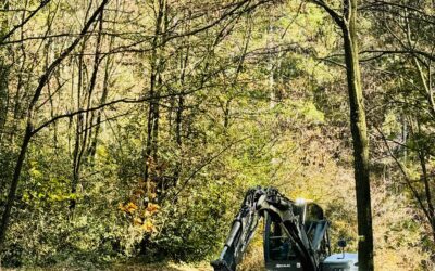 Entretien de la piste forestière du Bois-Vert