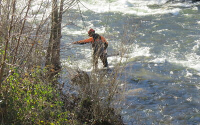 Entretien des berges de la Volane