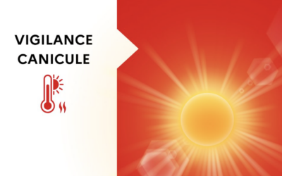 Informations canicule