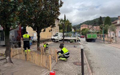L’avenue Chabalier se refait une beauté !