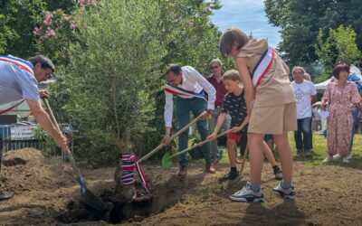 Plantation du « Mai » à Vals-les-Bains